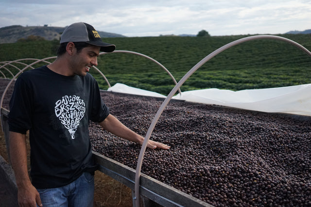 Reports From The Field — Augusto Borges Ferreira of Capadócia Coffee